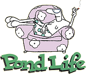 Pond Life (2 DVDs Box Set)
